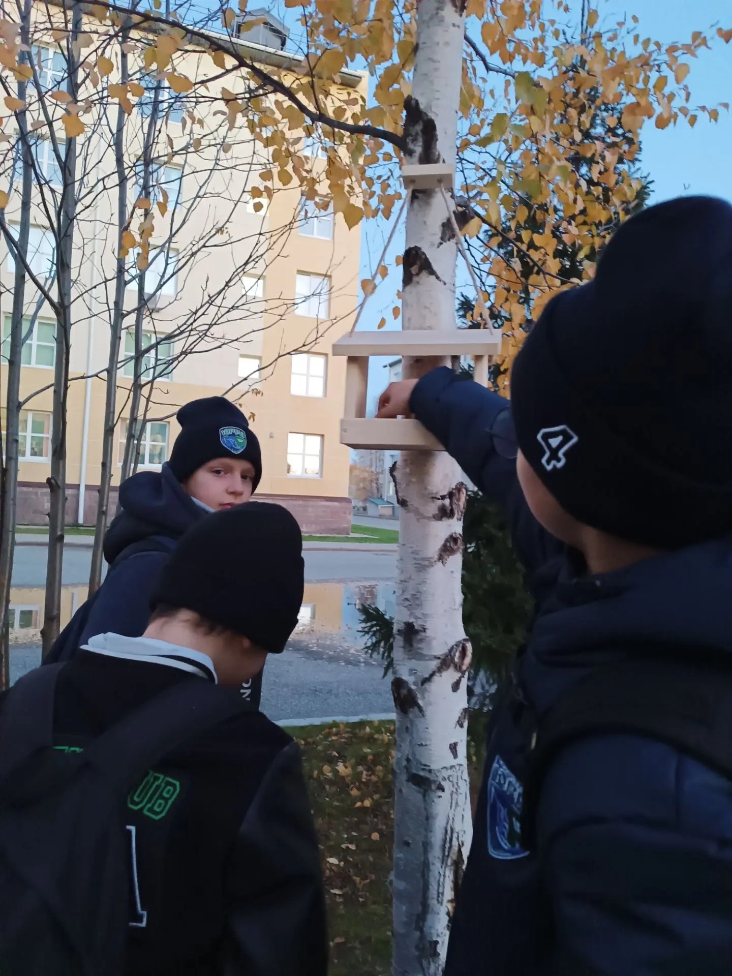 Кормушки для пернатых друзей ‍