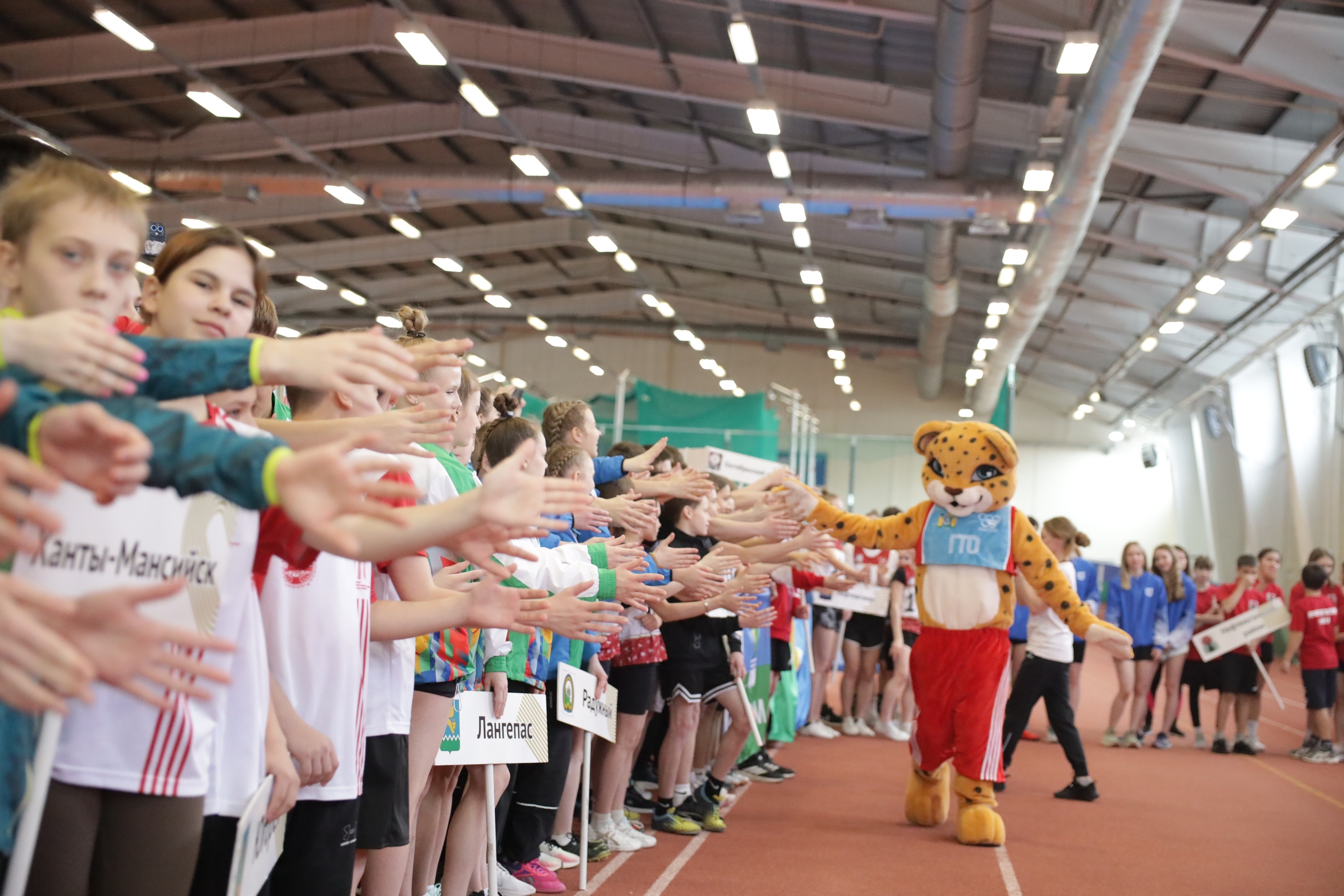 Состоялось торжественное открытие Фестиваля Всероссийского физкультурно-спортивного комплекса «Готов к труду и обороне» среди обучающихся общеобразовательных организаций